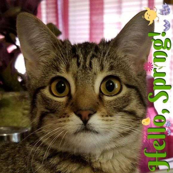 Meet your Posher, Reagan - Picture 1 of 1